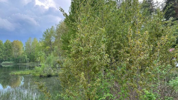 В Петербурге за месяц пропало почти 300 человек: 14 нашли мертвыми