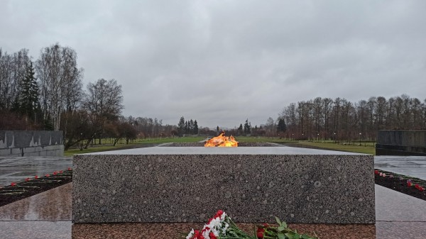 Гражданин Молдовы помочился на «Аллее памяти» во Всеволожском районе Ленобласти Гражданин Молдовы помочился на «Аллее памяти» во Всеволожском районе Ленобласти