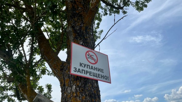 Почему в Петербурге нет пригодных для купания пляжей Почему в Петербурге нет пригодных для купания пляжей