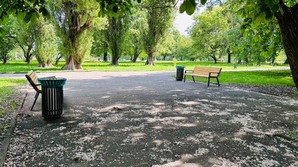 В Петербурге обсудили концепцию будущей набережной у Ладожского вокзала В Петербурге обсудили концепцию будущей набережной у Ладожского вокзала