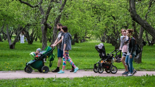 Эксперты подсчитали, сколько нужно платить по семейной ипотеке в 2024 году Эксперты подсчитали, сколько нужно платить по семейной ипотеке в 2024 году