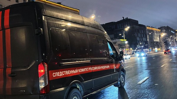 СК начал проверку после публикации об избиении школьницы на пустыре в Петербурге