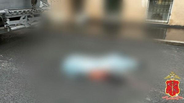 Погибшей под колесами мусоровоза в центре Петербурга оказалась врач с 27-летним стажем