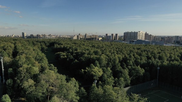 Контракт завял на корню: УФАС отправил компанию &laquo;Нескучный сад&raquo; на скамейку запасных