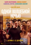 Новогодние истории о животных, сказ о богатыре и возвращение Муфасы: что смотреть в кино на долгих выходных