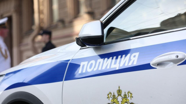 Петербуржца задержали по подозрению в поджоге поезда на станции Ручьи Петербуржца задержали по подозрению в поджоге поезда на станции Ручьи