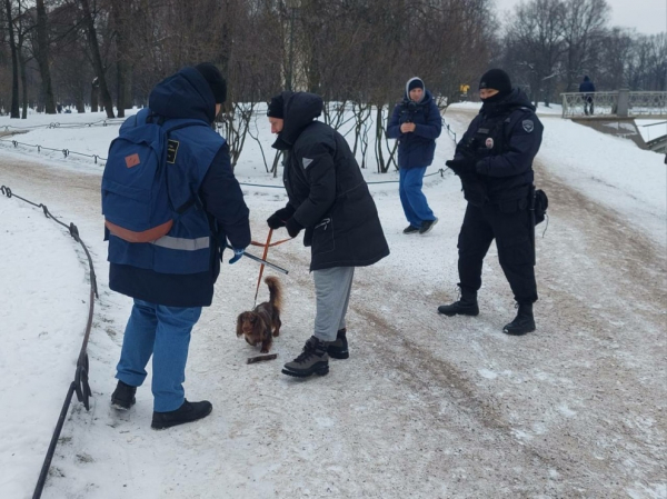 В Петербурге 11 владельцев собак получили протоколы после рейда