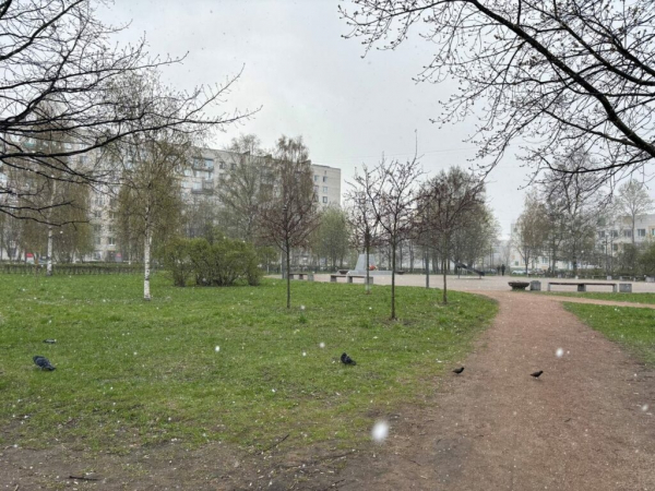 Холодные выходные: Петербург столкнулся с периодическими снежными залпами Холодные выходные: Петербург столкнулся с периодическими снежными залпами
