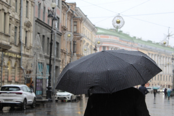 На детской площадке в центре Петербурга обнаружен труп женщины На детской площадке в центре Петербурга обнаружен труп женщины