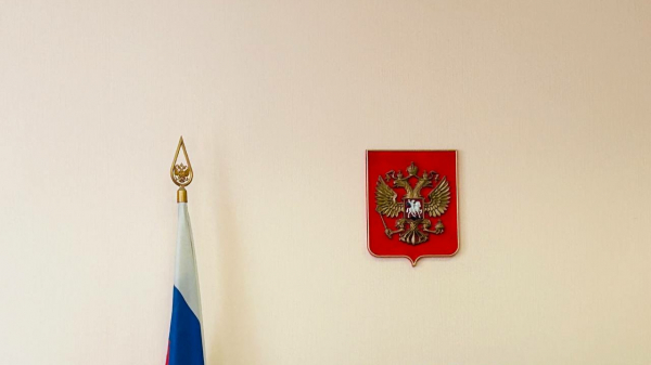 Житель Гатчины, оклеветавший знакомого в сексуальном насилии над ребенком, предстанет перед судом Житель Гатчины, оклеветавший знакомого в сексуальном насилии над ребенком, предстанет перед судом