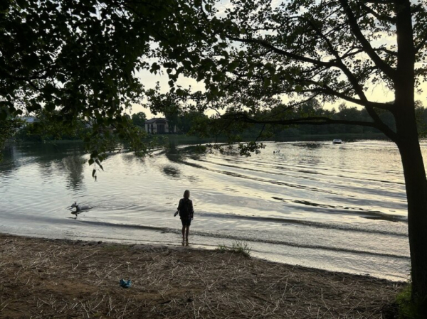 Три человека погибли в водоемах Петербурга за одни сутки Три человека погибли в водоемах Петербурга за одни сутки