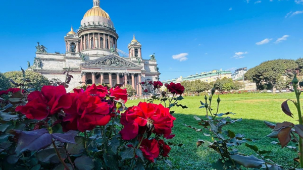 Жителей Петербурга ждёт комфортная неделя, дальше — холод и дождь Жителей Петербурга ждёт комфортная неделя, дальше — холод и дождь