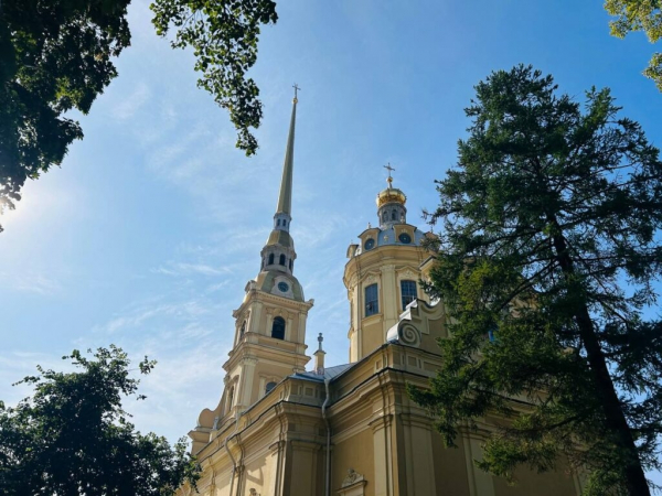 Кино, раскопки и змеи в небе: куда бесплатно сходить в Петербурге 16 и 17 августа